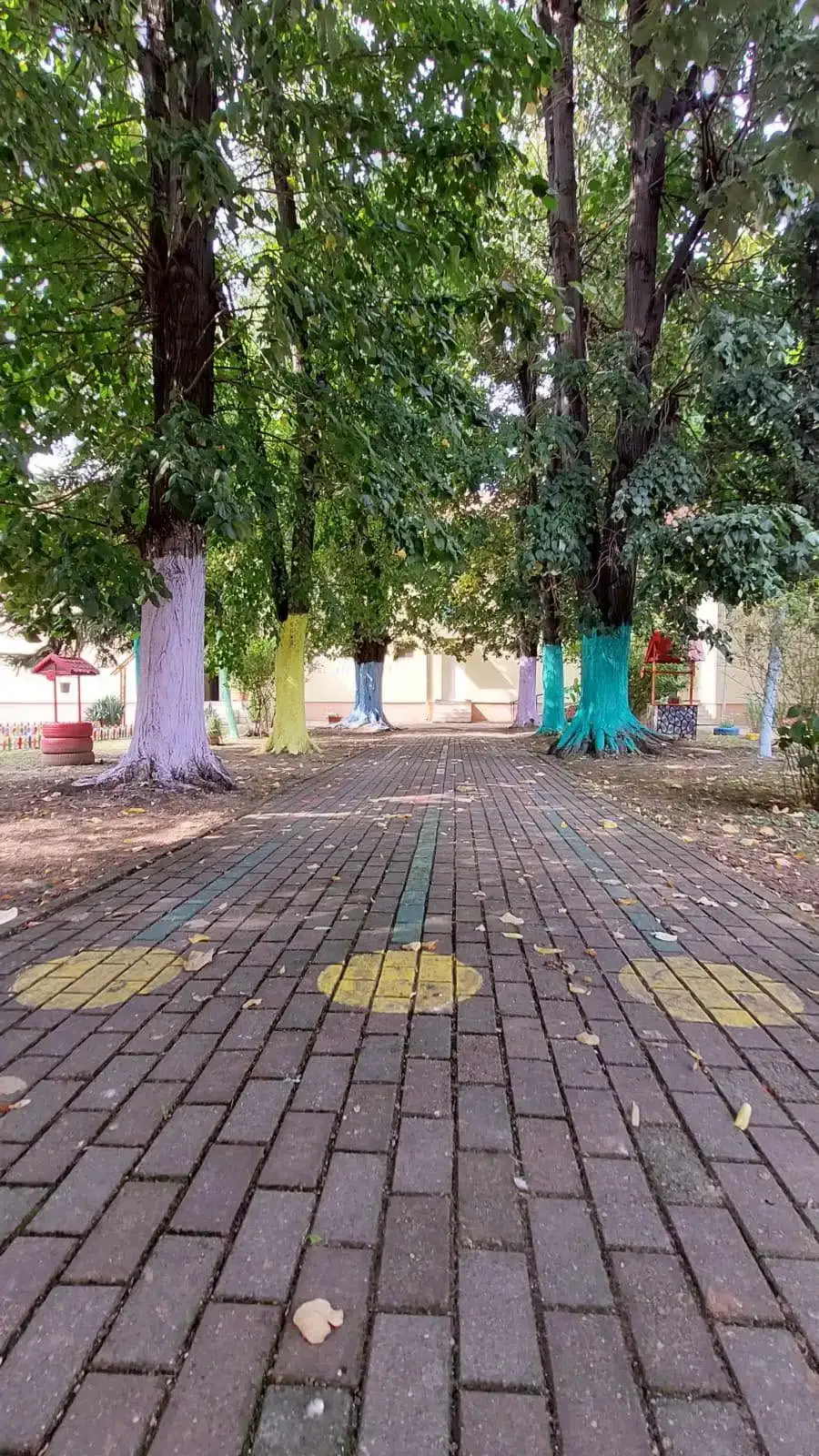 Alee pavată printre copaci cu trunchiuri vopsite în mov, galben, albastru și turcoaz